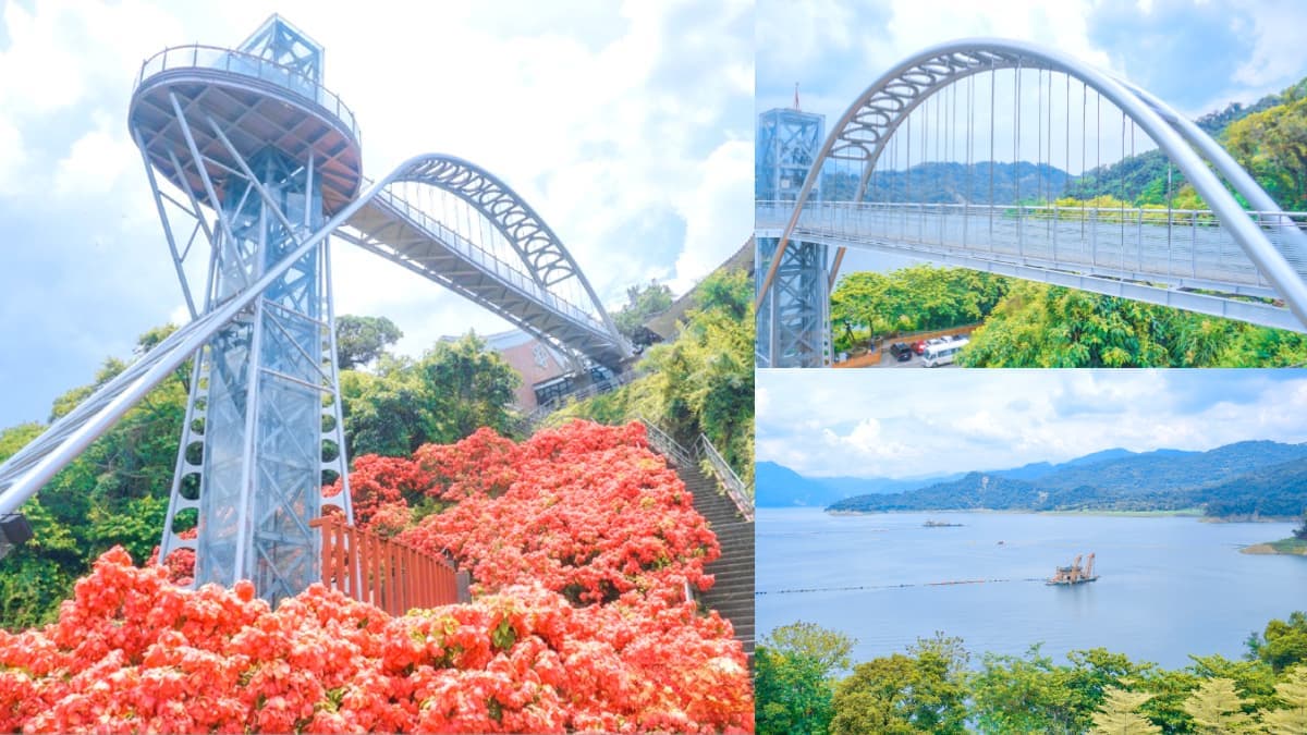 IG暴紅!曾文水庫「夢幻粉萼花海」大爆發,加碼「360度觀景台」遠眺絕美湖景