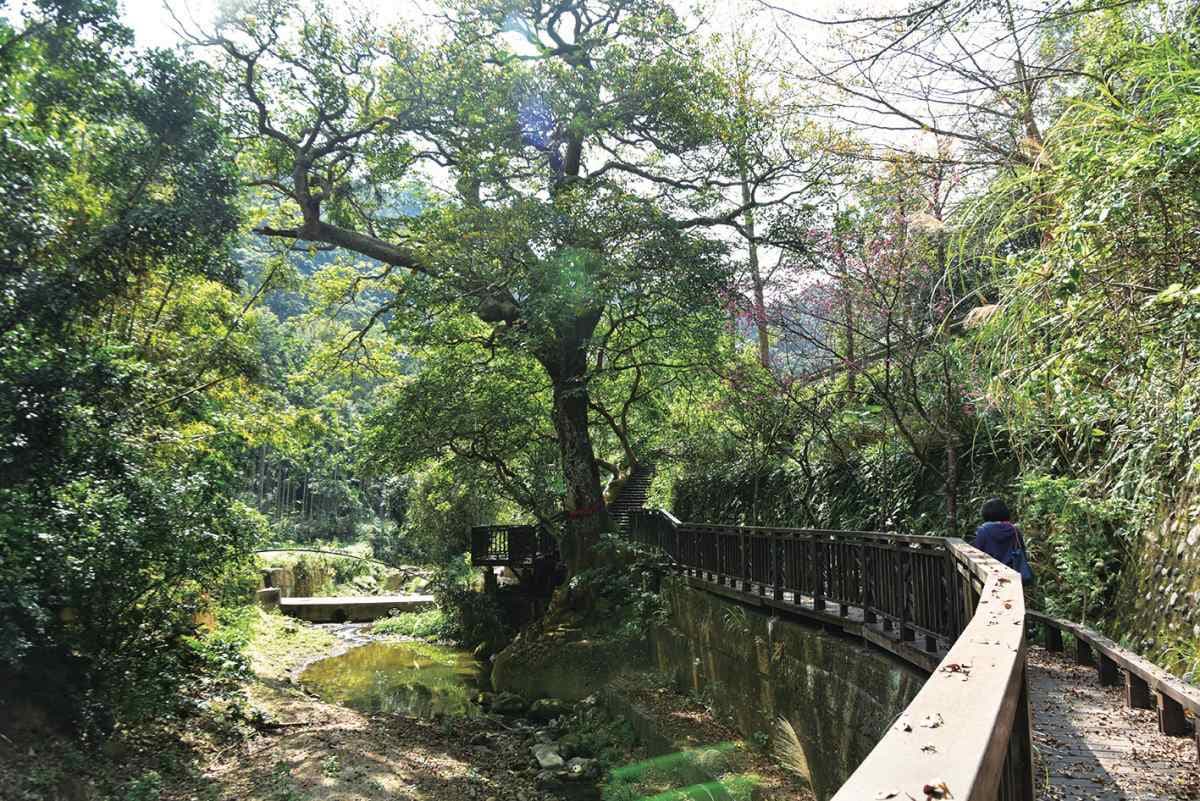 四寮溪步道