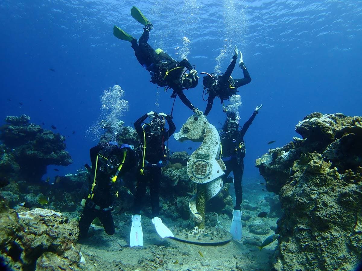 潛入海底!全台5大特色海底美景:海馬深海郵筒、巨型沉船、與超萌海龜共游 潛入海底!全台5大特色海底美景:海馬深海郵筒、巨型沉船、與超萌海龜共游