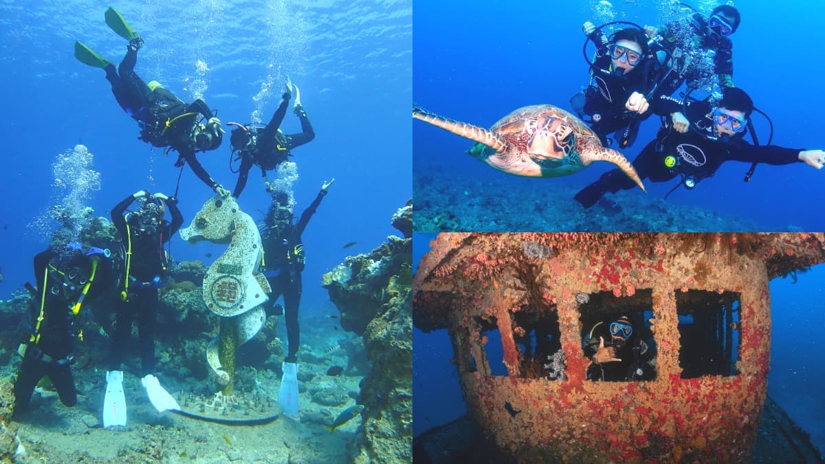 潛入海底!全台5大特色海底美景:海馬深海郵筒、巨型沉船、與超萌海龜共游