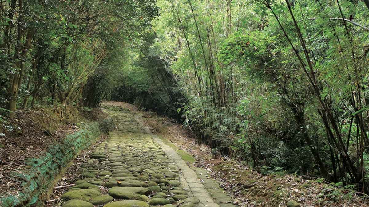 消暑景點快收!桃園4處沁涼山海祕境:百年石滬、全台最長懸索橋、綠色隧道 消暑景點快收!桃園4處沁涼山海祕境:百年石滬、全台最長懸索橋、綠色隧道