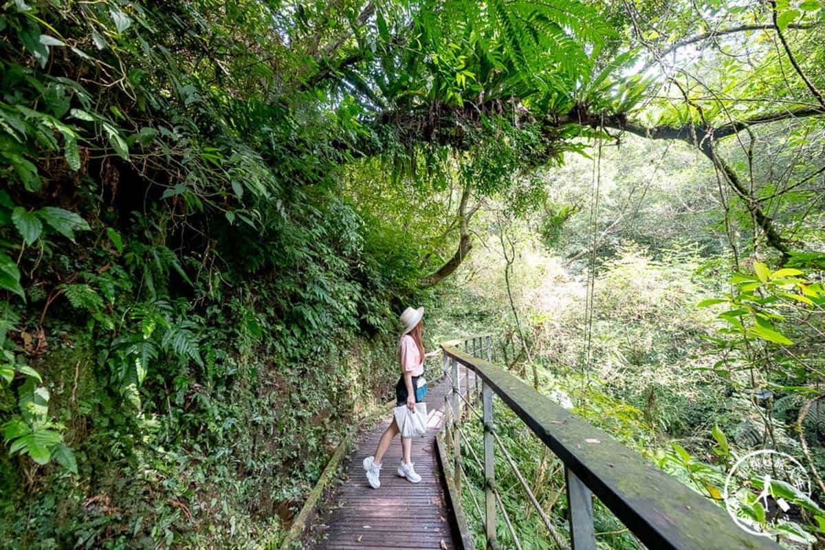 宜蘭不只抹茶山!8條私房步道衝打卡:CNN全球最美、瀑布祕境、15分鐘登頂 宜蘭不只抹茶山!8條私房步道衝打卡:CNN全球最美、瀑布祕境、15分鐘登頂