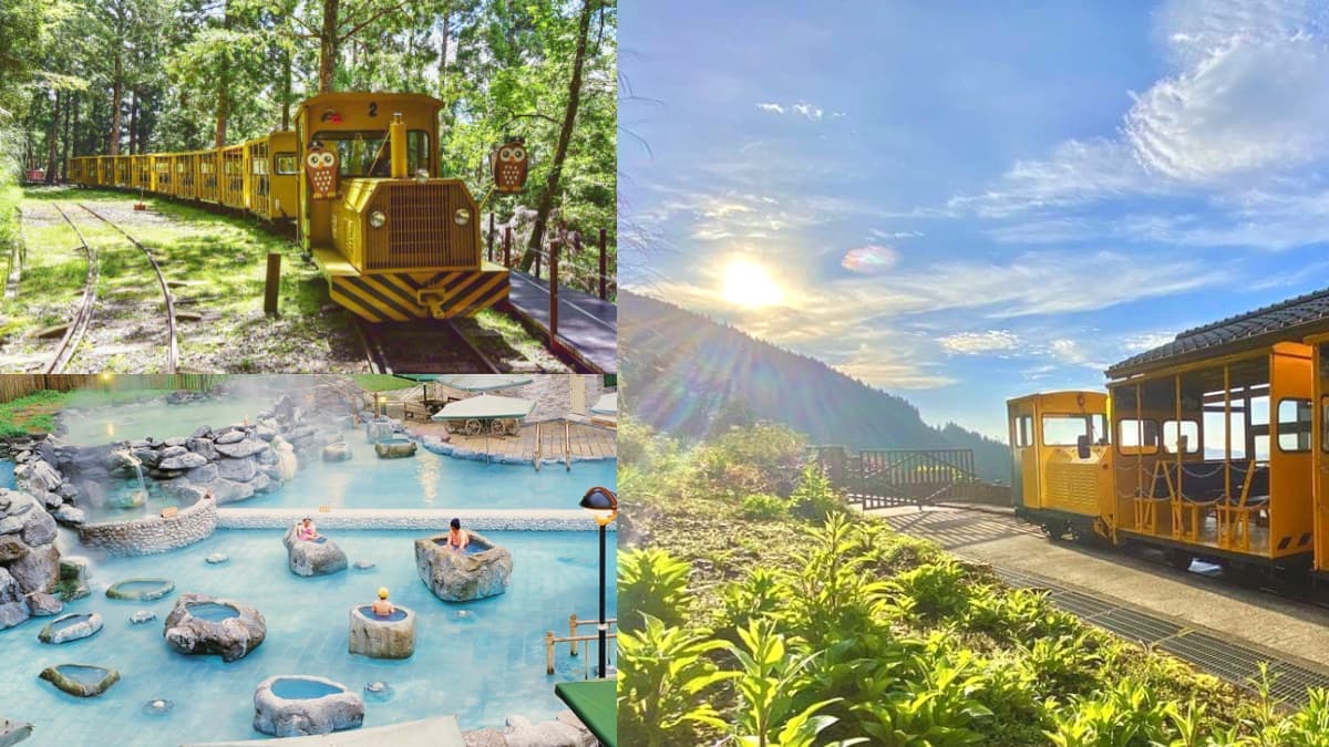 提早凌晨4點開園!暑假避暑衝「太平山森林遊樂區」,賞日出美景、搭蹦蹦車
