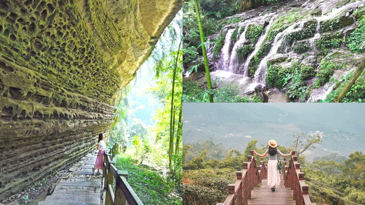 芬多精吸到飽!阿里山5條祕境步道:台版九寨溝、賞絕美雲海、壯觀蝙蝠洞