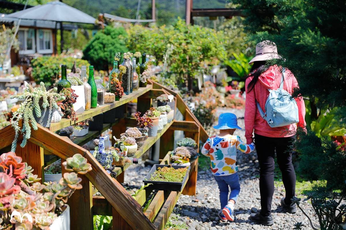 不只有梅花鹿、水豚!宜蘭5家特色親子農場:體驗餵鴨鴨、1日蔥農、荒野造景 不只有梅花鹿、水豚!宜蘭5家特色親子農場:體驗餵鴨鴨、1日蔥農、荒野造景