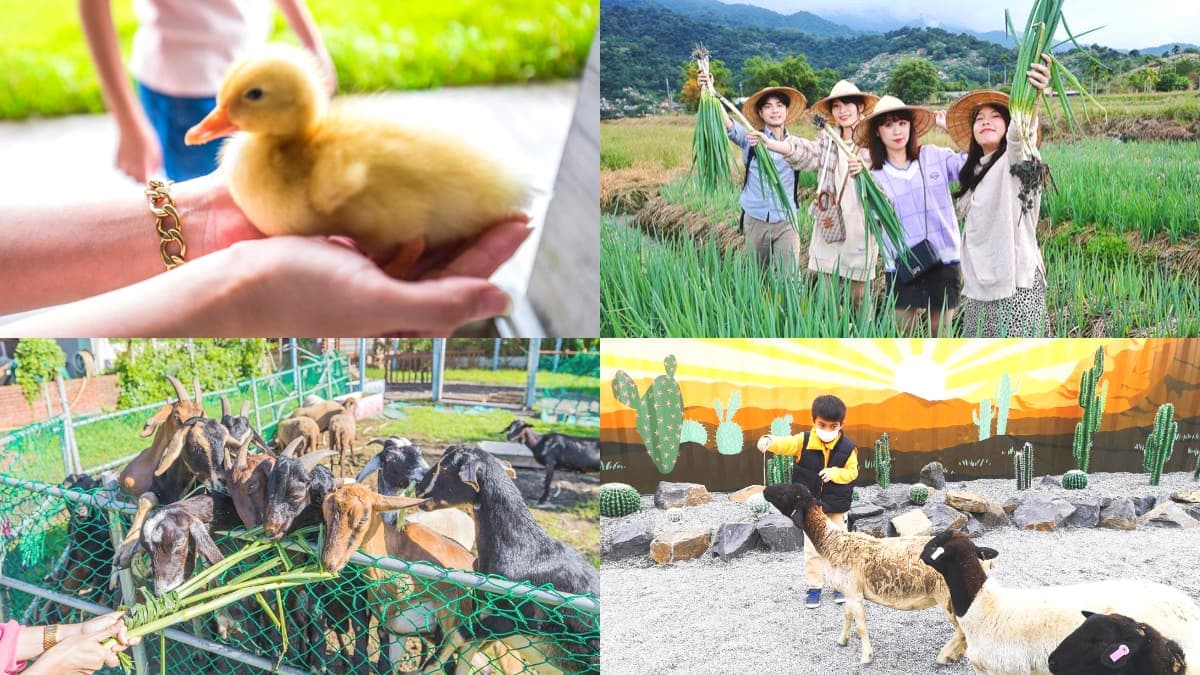不只有梅花鹿、水豚!宜蘭5家特色親子農場:體驗餵鴨鴨、1日蔥農、荒野造景