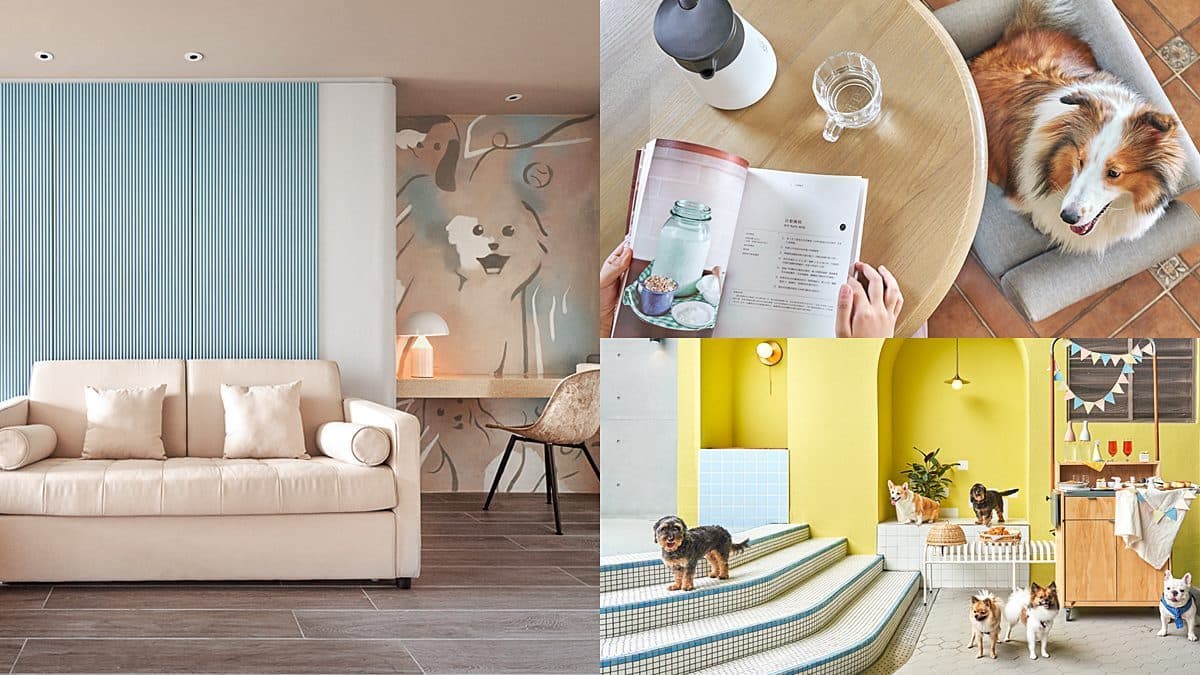 多野樂旅館Dogether Hotel img