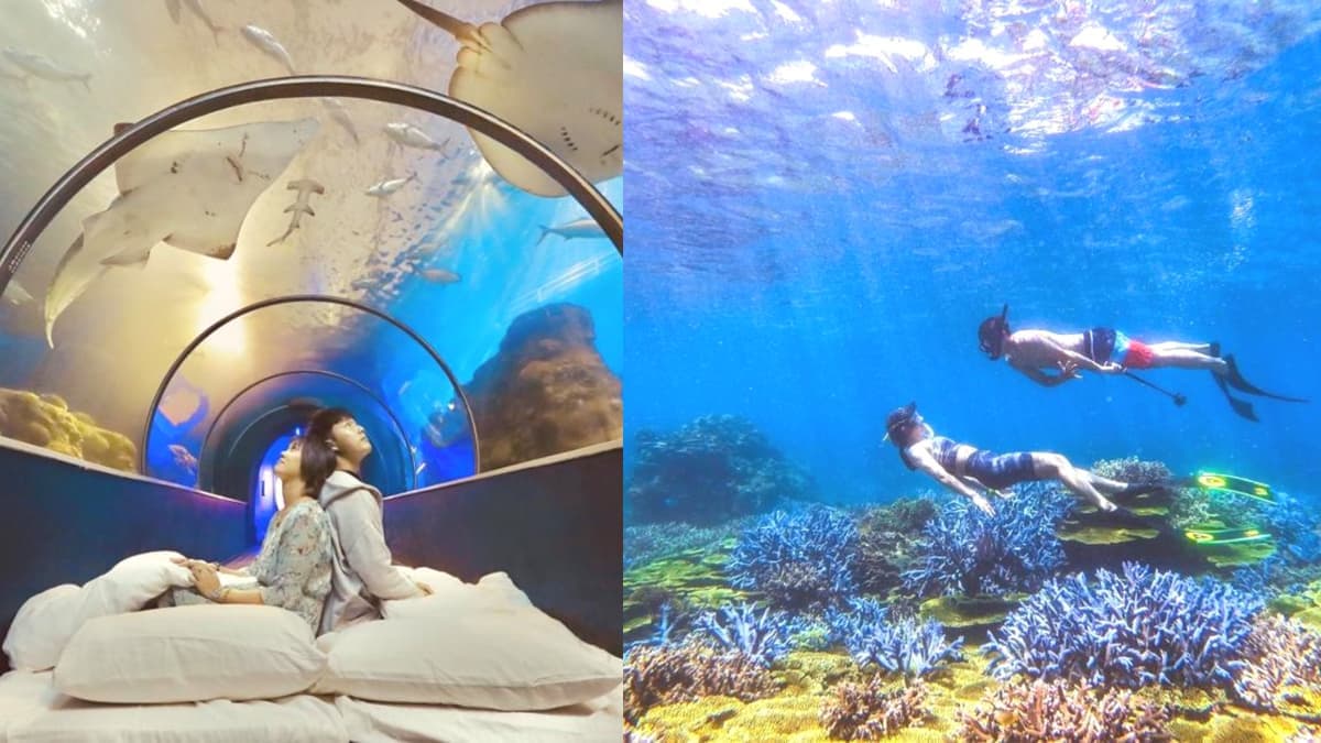 快設鬧鐘搶訂!「1元」衝離島夜宿水族館、忘憂島浮潛,4人揪團享最低5折