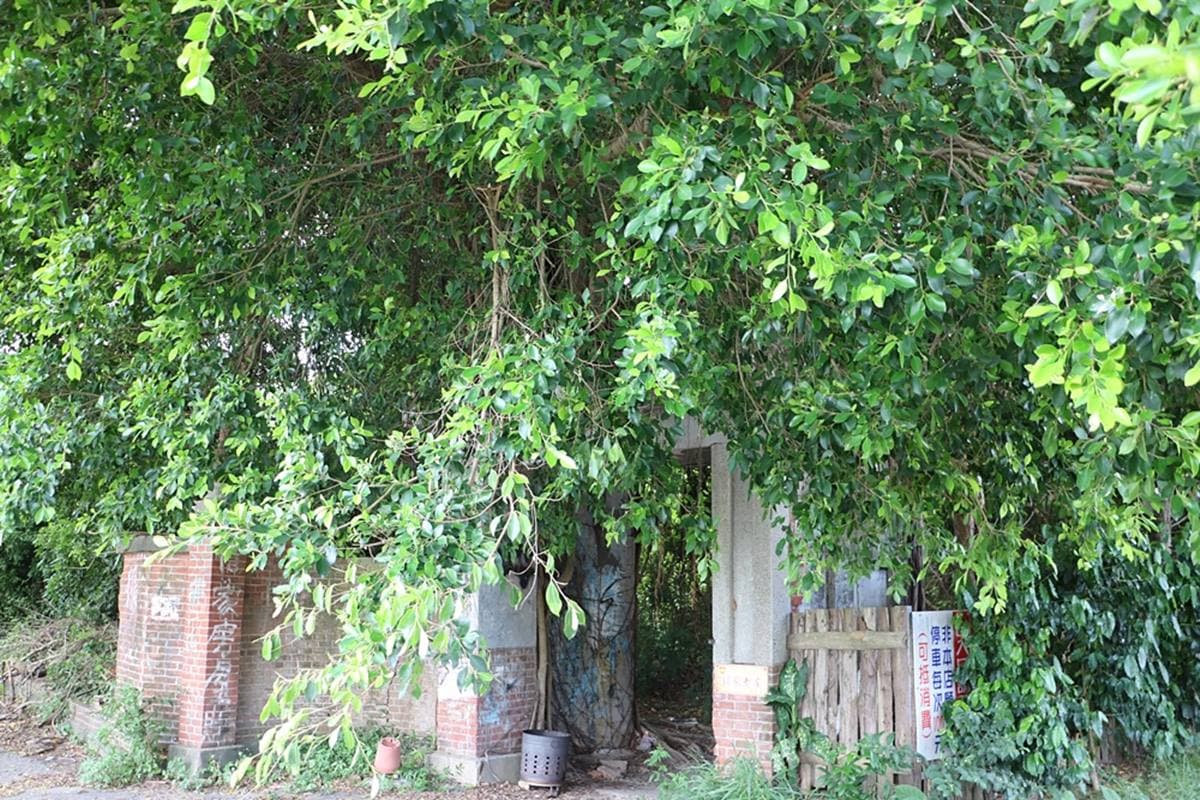 鬼月衝打卡!全台6處廢墟風景點:全台鬼屋之首、百年舊糖廠、台版天空之城 鬼月衝打卡!全台6處廢墟風景點:全台鬼屋之首、百年舊糖廠、台版天空之城