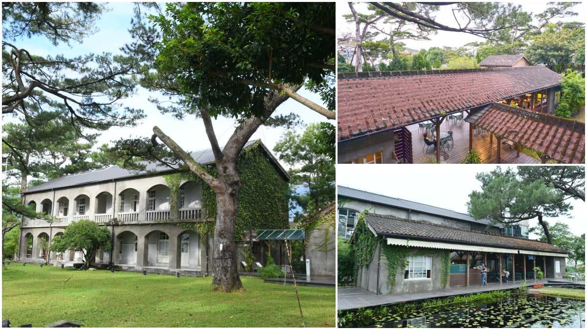 花蓮祕境+1!日軍「機密基地」藏和風老屋、百年松,美拍1公傾園區超療癒