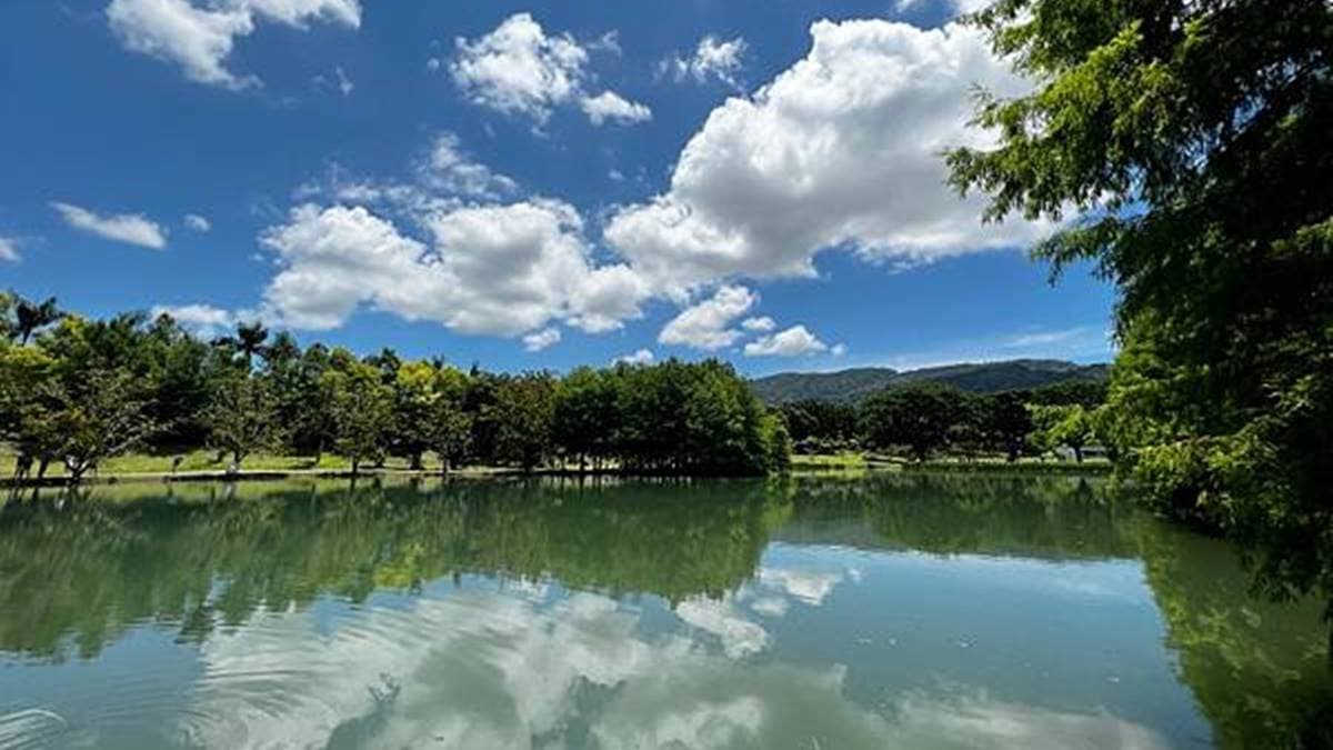 秒飛日本!花蓮「獨棟Villa」爽泡露天風呂超享受,逛絕美落羽松如置身北海道 秒飛日本!花蓮「獨棟Villa」爽泡露天風呂超享受,逛絕美落羽松如置身北海道