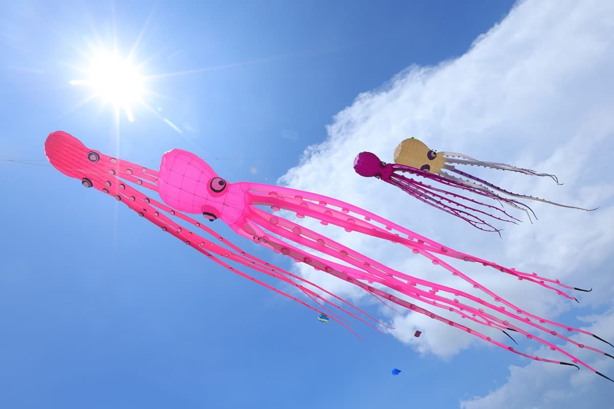 30隻大鯨魚飛上天!「2022旗津風箏節」限定2天開跑,如置身《禹英禑》場景 30隻大鯨魚飛上天!「2022旗津風箏節」限定2天開跑,如置身《禹英禑》場景