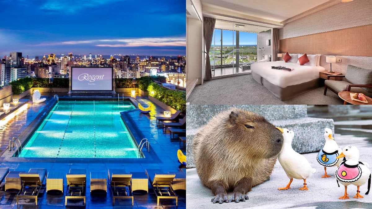 最高現賺11772元!2家旅宿免費入住好康,9/8前快用國旅補助第2晚不用錢