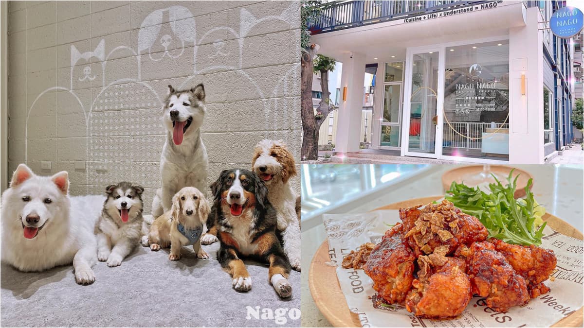 8萌狗坐鎮!打卡台中超夯「白色系」寵物餐廳,雪橇犬、哈士奇一次擄獲