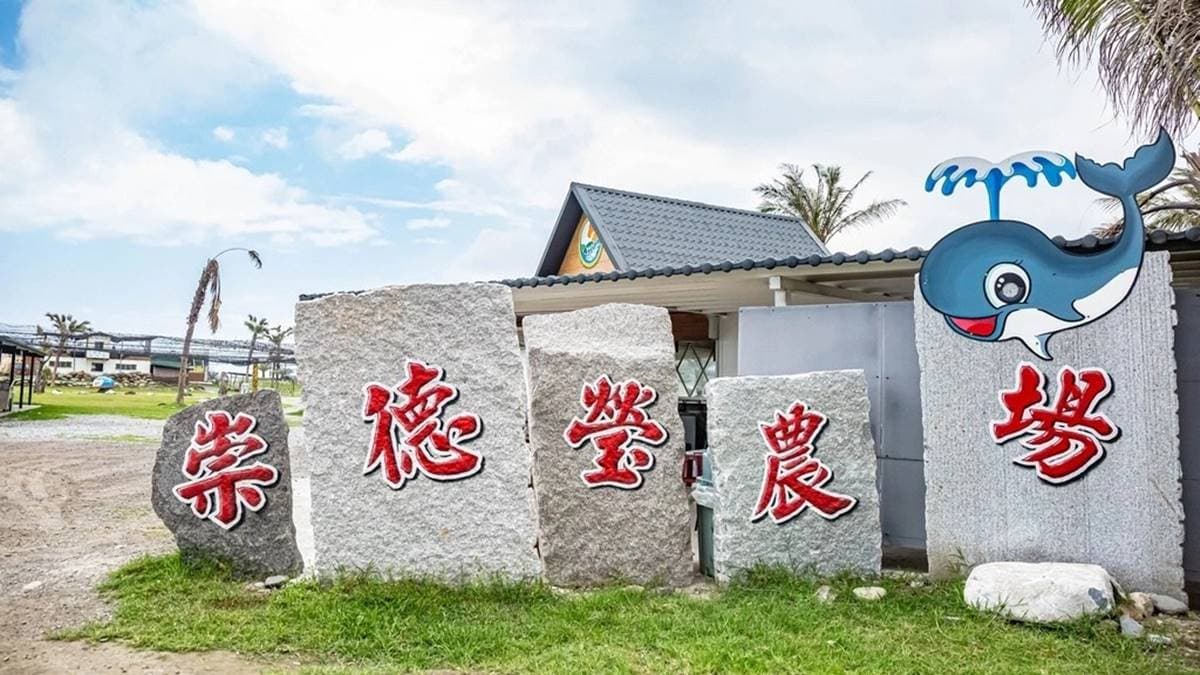 100元爽玩「台版紐西蘭」!體驗餵羊駝、划獨木舟,吃原民餐搭絕美海景好Chill 100元爽玩「台版紐西蘭」!體驗餵羊駝、划獨木舟,吃原民餐搭絕美海景好Chill