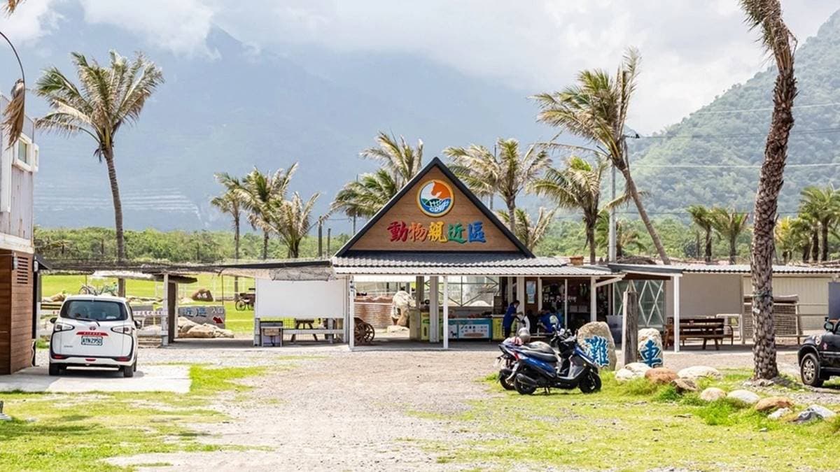 100元爽玩「台版紐西蘭」!體驗餵羊駝、划獨木舟,吃原民餐搭絕美海景好Chill 100元爽玩「台版紐西蘭」!體驗餵羊駝、划獨木舟,吃原民餐搭絕美海景好Chill