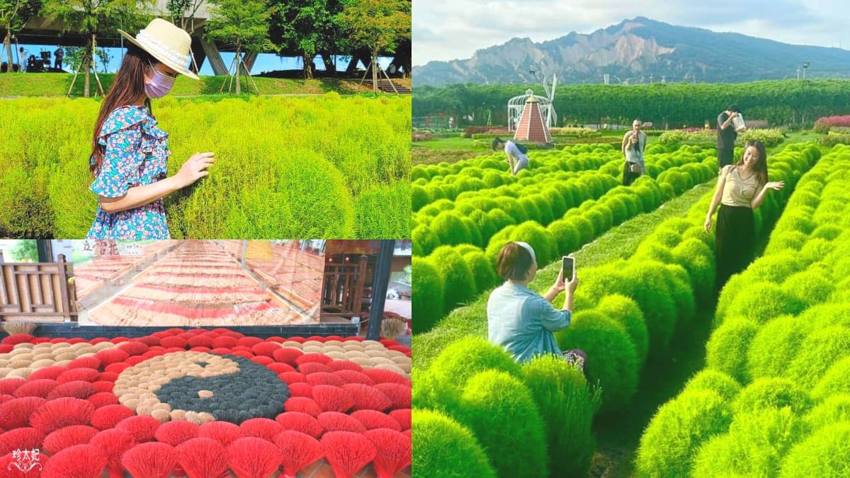 超萌「抹茶丸子」襲捲全台!5處波波草祕境:50元拍到飽、台中人參觀半價