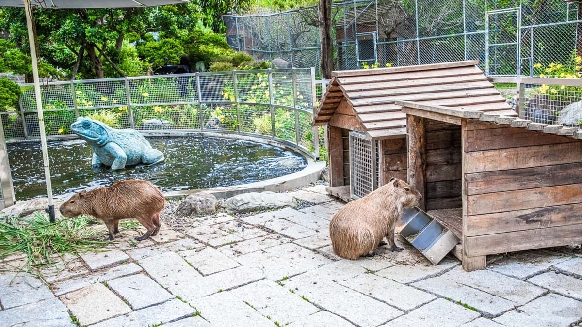 蘇家莊園