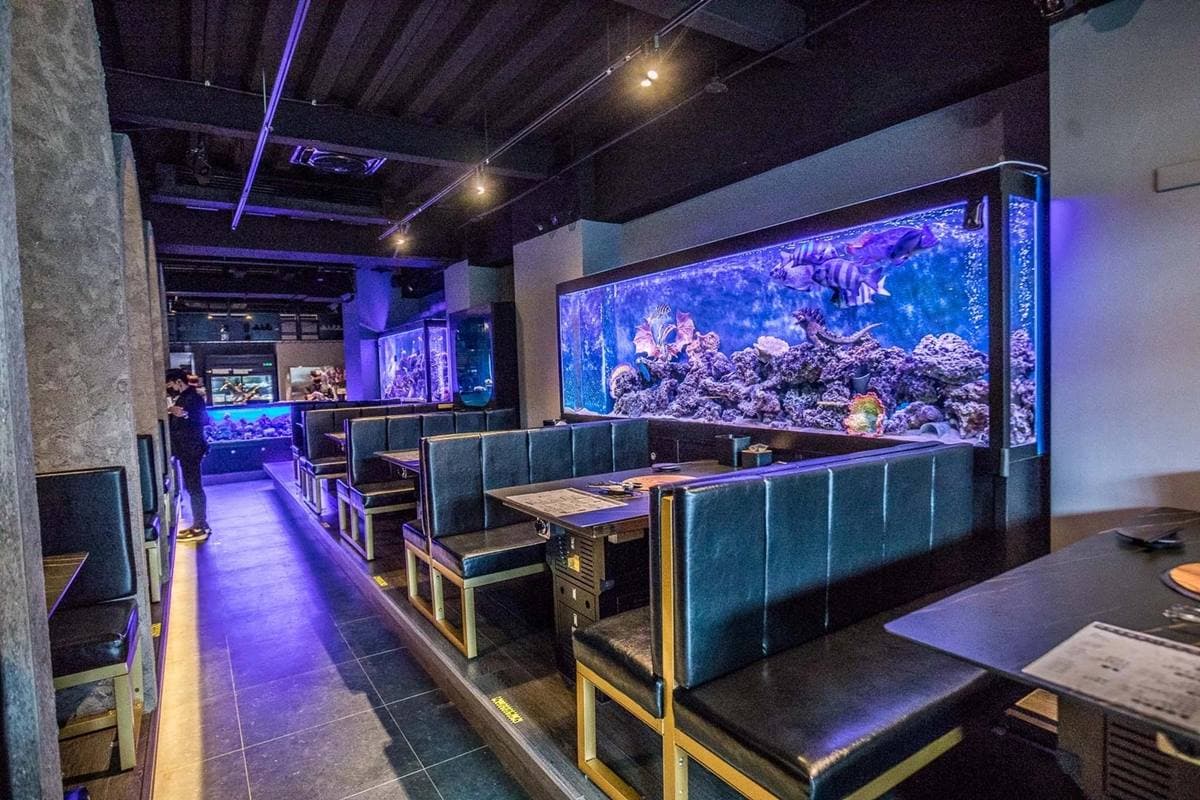 打卡超夯水母牆!「預約制燒肉」宛如置身水族館,爽嗑和牛握壽司、和牛可頌 打卡超夯水母牆!「預約制燒肉」宛如置身水族館,爽嗑和牛握壽司、和牛可頌