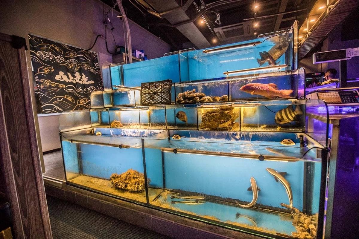 打卡超夯水母牆!「預約制燒肉」宛如置身水族館,爽嗑和牛握壽司、和牛可頌 打卡超夯水母牆!「預約制燒肉」宛如置身水族館,爽嗑和牛握壽司、和牛可頌