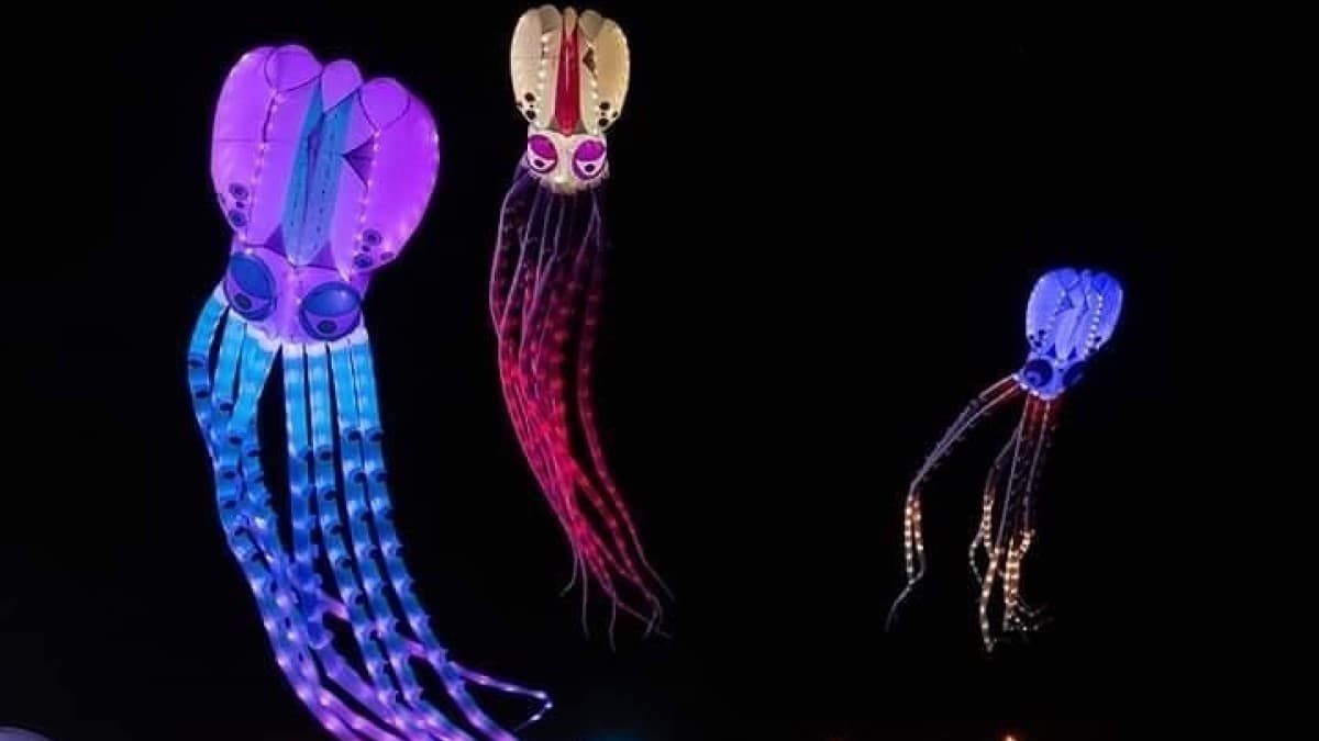 全台首創「夜光風箏」!快來「澎湖追風音樂節」,一起chill瘋中秋 全台首創「夜光風箏」!快來「澎湖追風音樂節」,一起chill瘋中秋