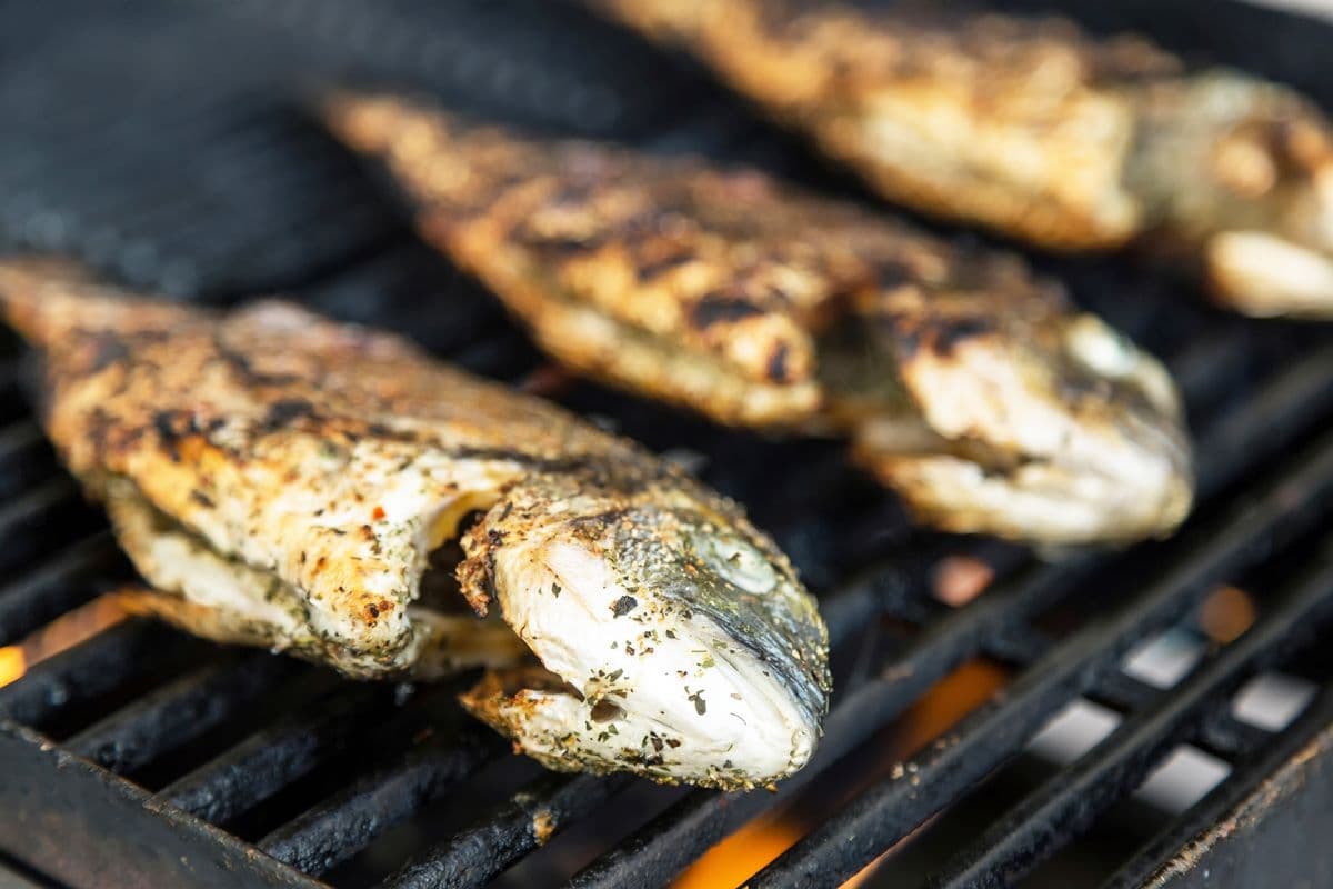 中秋烤肉哪種食材最雷?玉米、內臟、魚都上榜,網友直呼「這2項」是來亂的 中秋烤肉哪種食材最雷?玉米、內臟、魚都上榜,網友直呼「這2項」是來亂的
