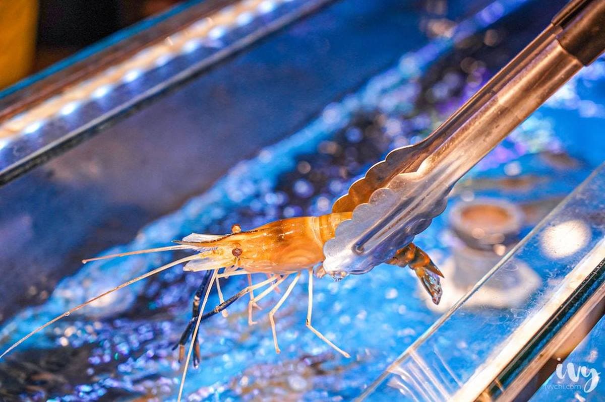 CP值爆表!全台5家海鮮燒烤吃到飽:200元烤蚵、30種海魚、滑水道撈泰國蝦 CP值爆表!全台5家海鮮燒烤吃到飽:200元烤蚵、30種海魚、滑水道撈泰國蝦