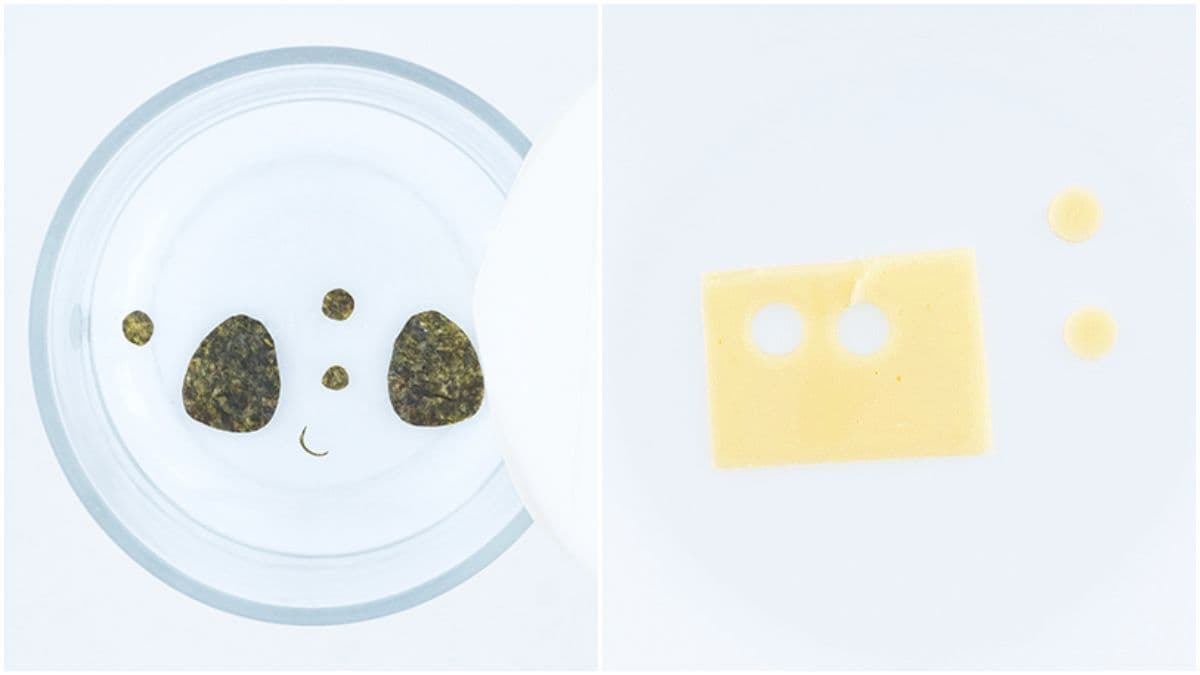 媽媽拚了!3款讓小孩走路有風狂便當:貓熊刈包、萌貓牛肉飯、柴柴壽司 媽媽拚了!3款讓小孩走路有風狂便當:貓熊刈包、萌貓牛肉飯、柴柴壽司