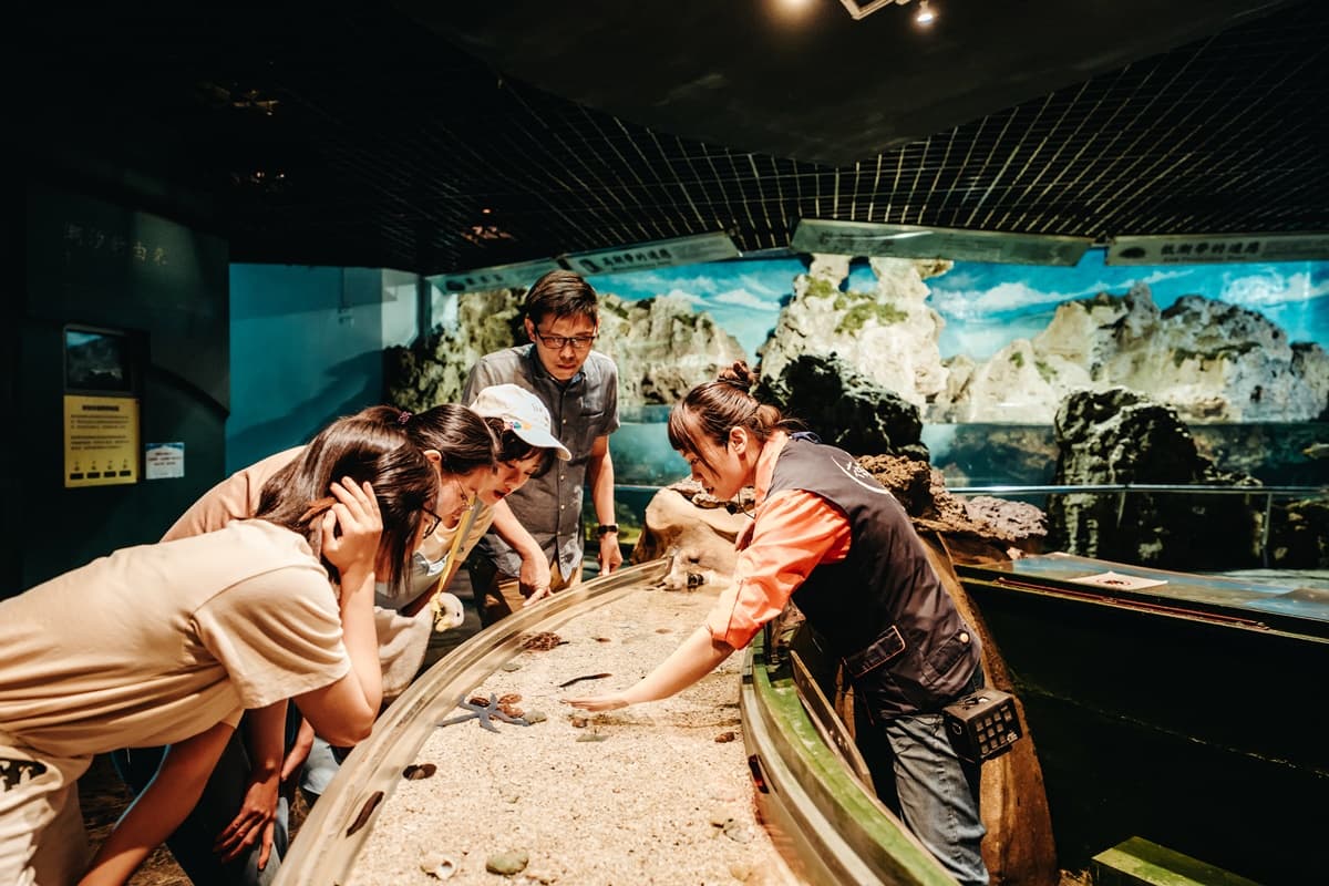 只剩8場!屏東「夜巡海生館」最終時間曝光,夜訪海星、海葵錯過等明年 只剩8場!屏東「夜巡海生館」最終時間曝光,夜訪海星、海葵錯過等明年