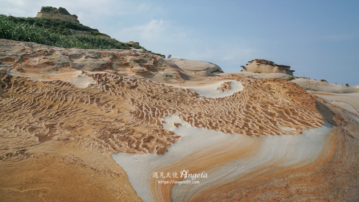 駱駝峰 img