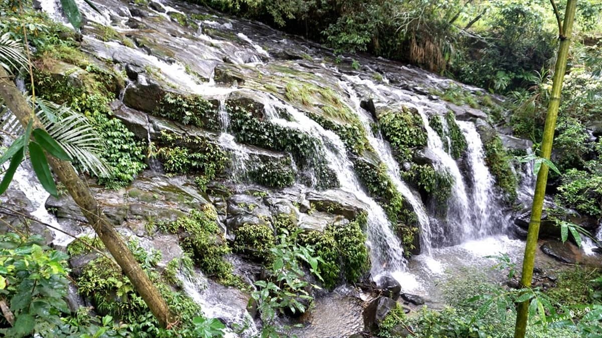 別只去阿里山!嘉義梅山12大祕境:最美茶園步道、台版九寨溝、海拔最高吊橋 別只去阿里山!嘉義梅山12大祕境:最美茶園步道、台版九寨溝、海拔最高吊橋