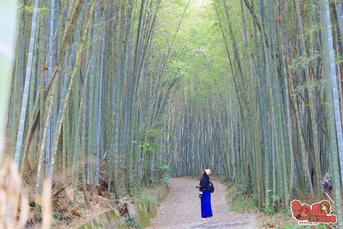 別只去阿里山!嘉義梅山12大祕境:最美茶園步道、台版九寨溝、海拔最高吊橋 別只去阿里山!嘉義梅山12大祕境:最美茶園步道、台版九寨溝、海拔最高吊橋