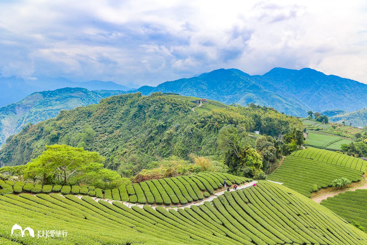 別只去阿里山!嘉義梅山12大祕境:最美茶園步道、台版九寨溝、海拔最高吊橋 別只去阿里山!嘉義梅山12大祕境:最美茶園步道、台版九寨溝、海拔最高吊橋