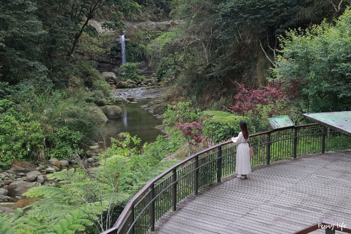 別只去阿里山!嘉義梅山12大祕境:最美茶園步道、台版九寨溝、海拔最高吊橋 別只去阿里山!嘉義梅山12大祕境:最美茶園步道、台版九寨溝、海拔最高吊橋