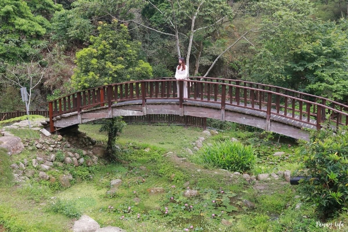 別只去阿里山!嘉義梅山12大祕境:最美茶園步道、台版九寨溝、海拔最高吊橋 別只去阿里山!嘉義梅山12大祕境:最美茶園步道、台版九寨溝、海拔最高吊橋