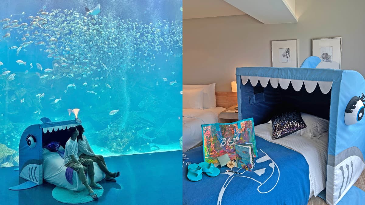 「夜宿水族館床」搬進房!住24小時躺Q版鯊魚打卡,還可免費帶走海洋系周邊