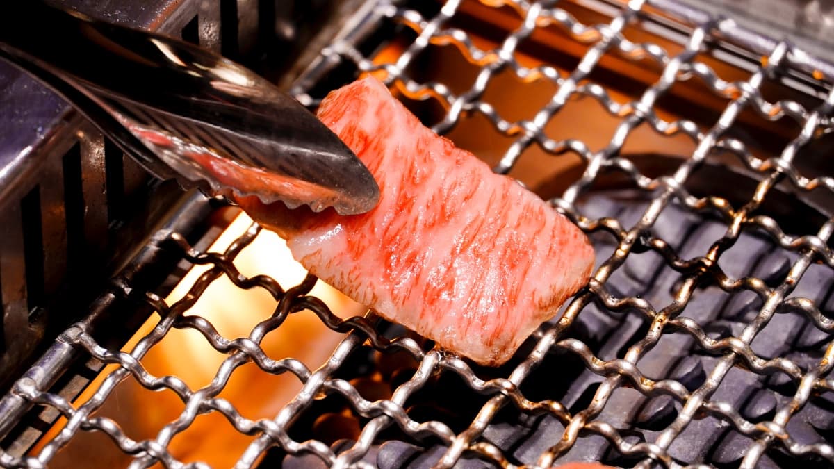 拿出身分證爽吃!本週13家超夯美食優惠:問鼎免費吃大龍蝦、燒肉同話5折起 身分證中2碼、名字有「雙十國慶」!4大燒肉店烏魚子、巨大雞胇湯泡飯吃到飽