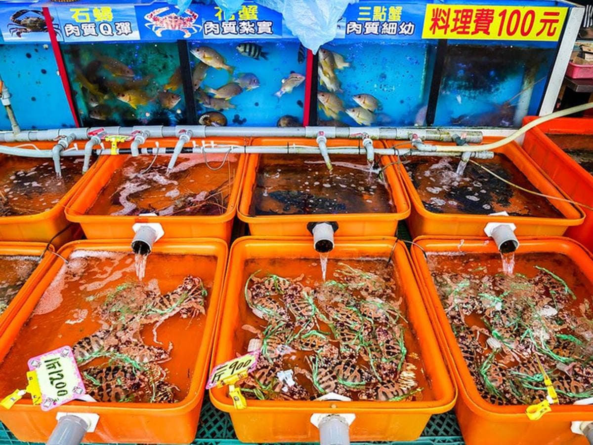 自家漁船捕撈!超澎派「咖哩螃蟹」滿滿蟹膏尬麵包,大分量小卷米粉用碗公裝 自家漁船捕撈!超澎派「咖哩螃蟹」滿滿蟹膏尬麵包,大分量小卷米粉用碗公裝