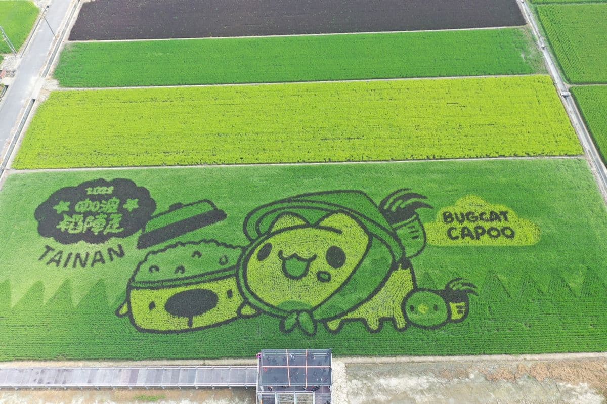 國慶連假衝台南!「貓貓蟲咖波」彩繪稻田萌到爆,加碼小農市集、手作DIY活動 國慶連假衝台南!「貓貓蟲咖波」彩繪稻田萌到爆,加碼小農市集、手作DIY活動