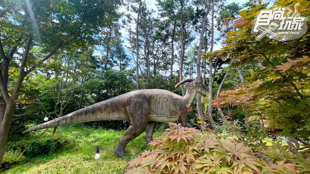 超夯打卡祕境!韓版侏羅紀公園+360度絕美「松島龍宮雲橋」,再拍小王子與飛機 超夯打卡祕境!韓版侏羅紀公園+360度絕美「松島龍宮雲橋」,再拍小王子與飛機