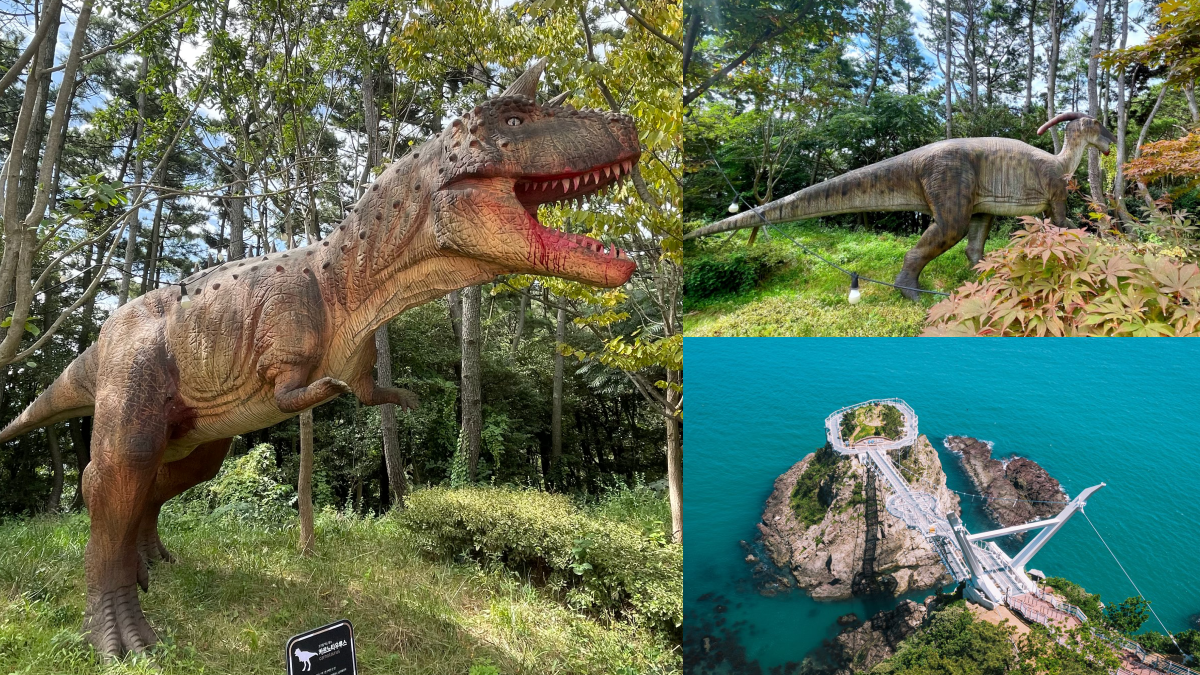 超夯打卡祕境!韓版侏羅紀公園+360度絕美「松島龍宮雲橋」,再拍小王子與飛機