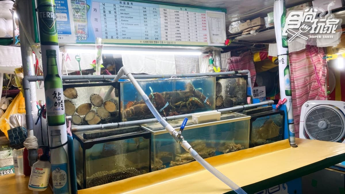 海鮮控必收!海雲台「布帳馬車夜市」狂嗑現流海鮮,再吃超鮮甜「龍蝦泡麵」 海鮮控必收!海雲台「布帳馬車夜市」狂嗑現流海鮮,再吃超鮮甜「龍蝦泡麵」