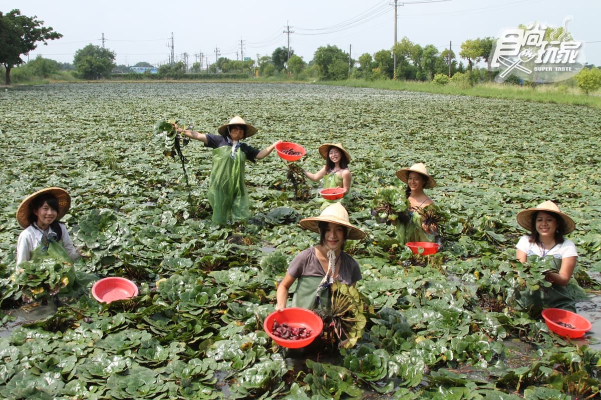 搶拍巨型米奇、彩繪劍獅、採菱角!台南親子遊7大超酷玩法推薦 搶拍巨型米奇、彩繪劍獅、採菱角!台南親子遊7大超酷玩法推薦