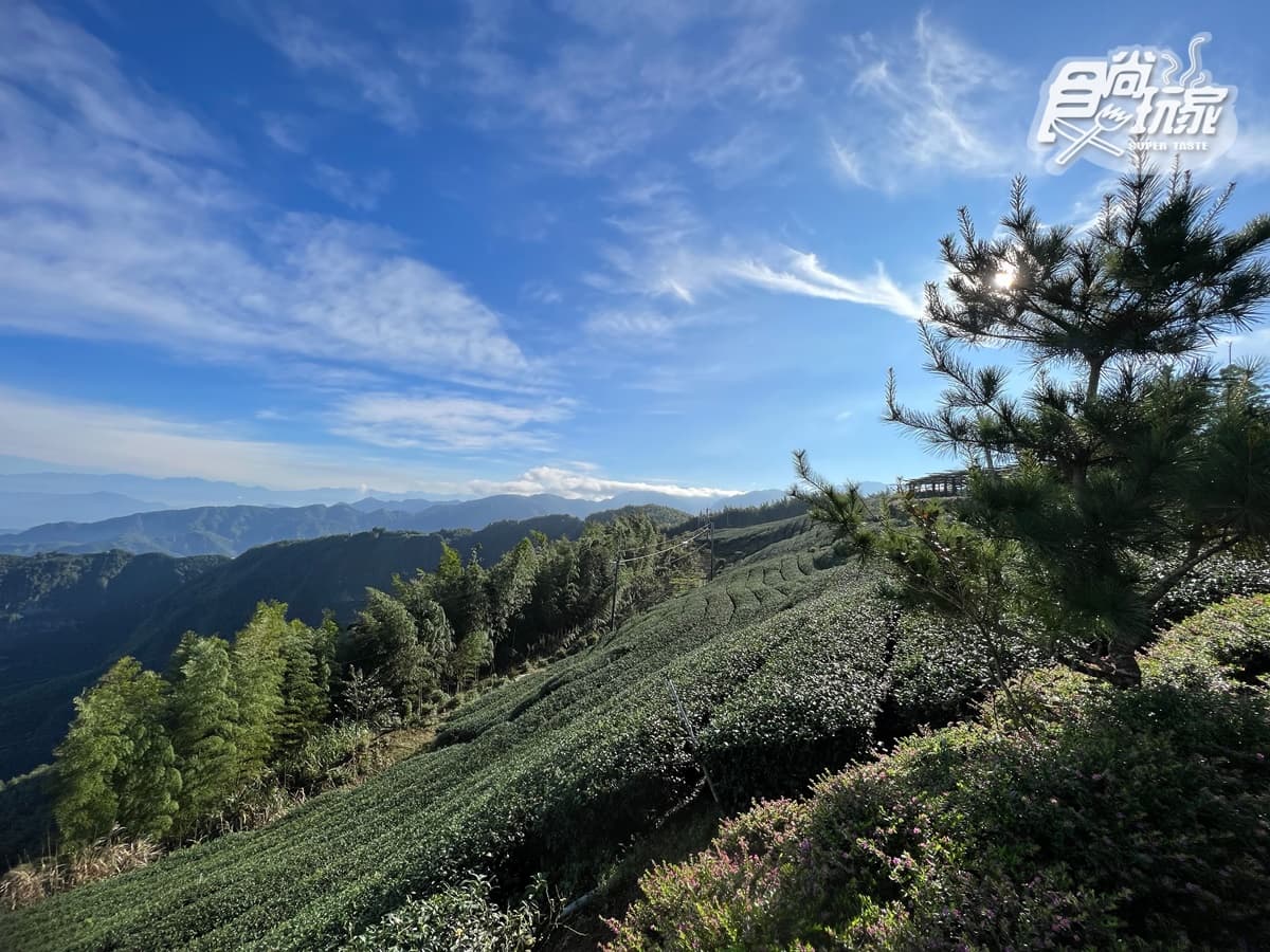 雲海祕境、台版嵐山!16景點玩翻古坑,台灣咖啡節3天2夜最強攻略 雲海祕境、台版嵐山!16景點玩翻古坑,台灣咖啡節3天2夜最強攻略