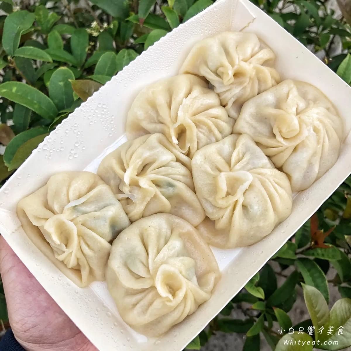 不輸鼎泰豐!台南5家爆汁湯包:網譽台南鼎泰豐、1天賣4小時、7顆40元 不輸鼎泰豐!台南5家爆汁湯包:網譽台南鼎泰豐、1天賣4小時、7顆40元
