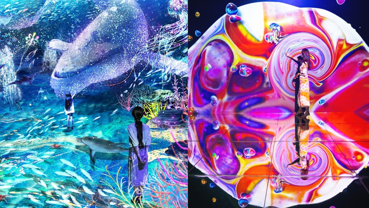 日本最好拍「光之影海洋展」登台!走進海底隧道+小白鯨出沒,8展區搶先看