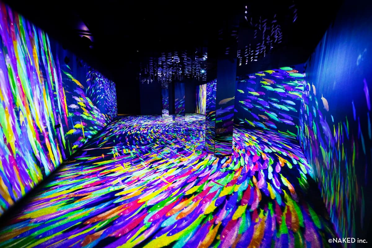 日本最好拍「光之影海洋展」登台!走進海底隧道+小白鯨出沒,8展區搶先看 日本最好拍「光之影海洋展」登台!走進海底隧道+小白鯨出沒,8展區搶先看