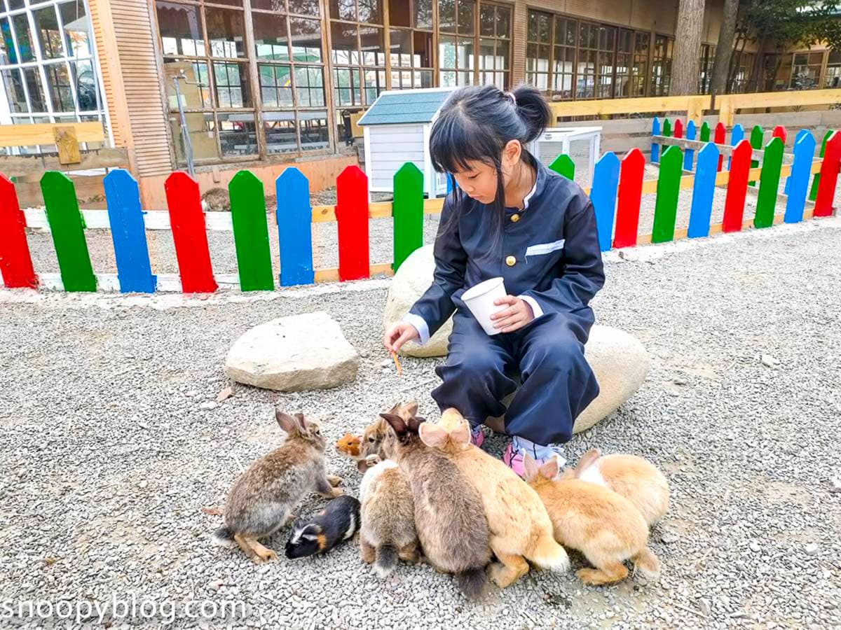 雲林1日遊最強攻略!古坑必訪7亮點:麝香木花海大爆發、全台唯一地球廟 雲林1日遊最強攻略!古坑必訪7亮點:麝香木花海大爆發、全台唯一地球廟