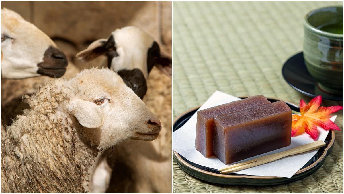 「羊羹」跟羊有關係?日式甜點竟源自中國「羊肉湯」,因為日本人「這原因」