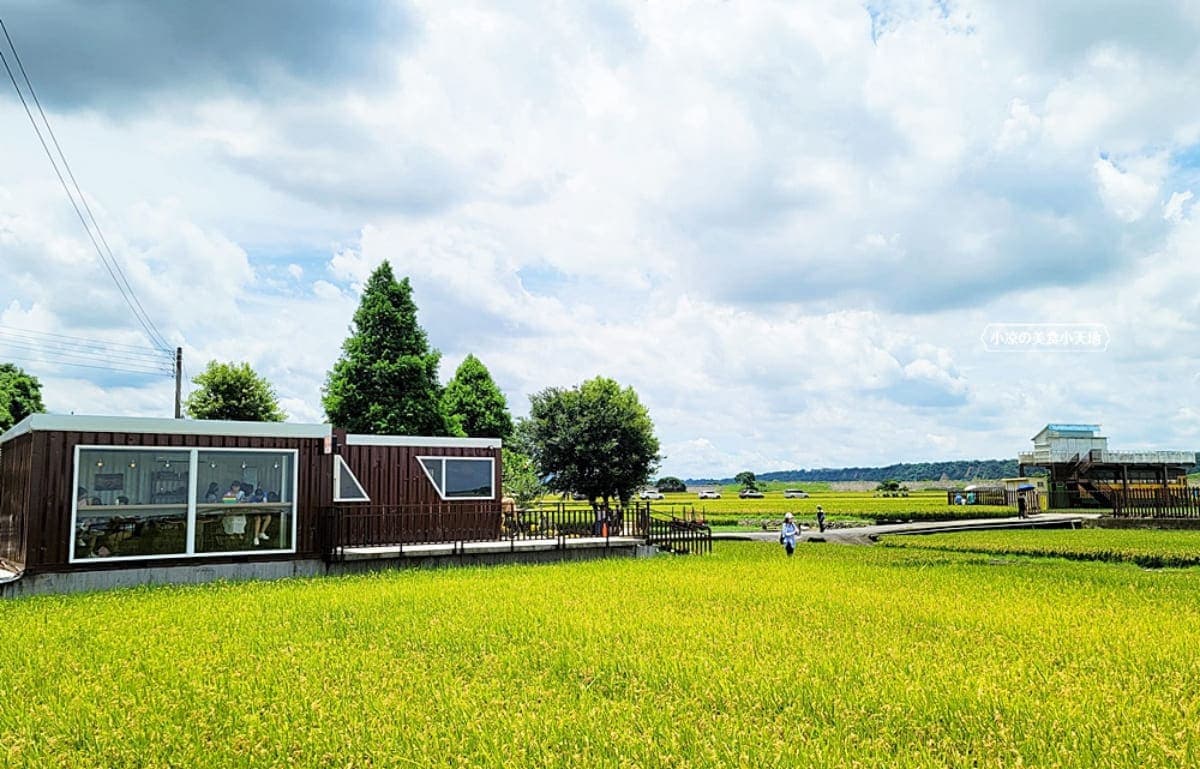 飽覽金黃稻穗海!稻田中「神祕貨櫃屋」打卡先搶窗邊座位,順遊洗版IG忘憂谷 飽覽金黃稻穗海!稻田中「神祕貨櫃屋」打卡先搶窗邊座位,順遊洗版IG忘憂谷